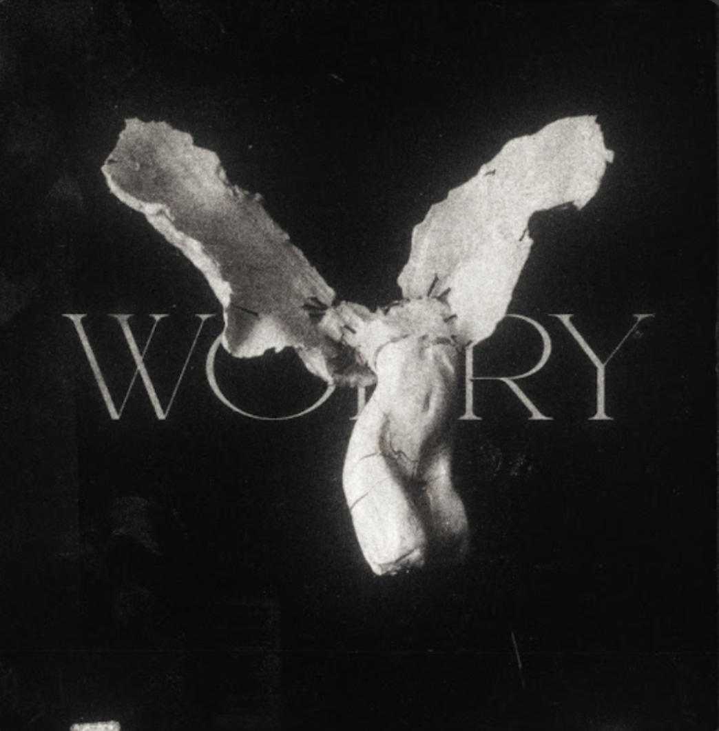 Обложка worry