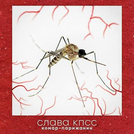 Обложка Купидоны